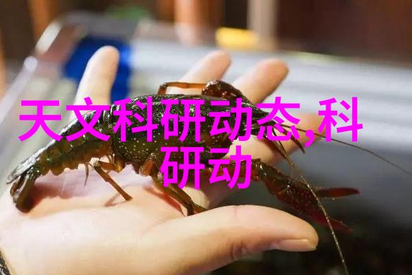 粉煤灰分选机的应用与发展现状