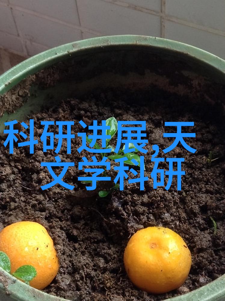叔父的大还是爸爸大的轶事我还记得那次比大小的趣事