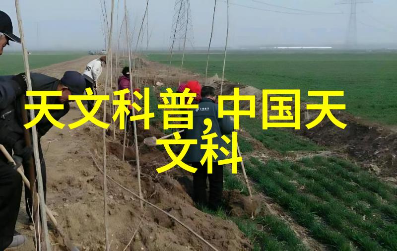 我来告诉你咋个叫填料网