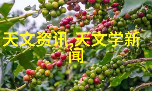 智能装备解析从传感器到AI剖析智能化终端的全貌