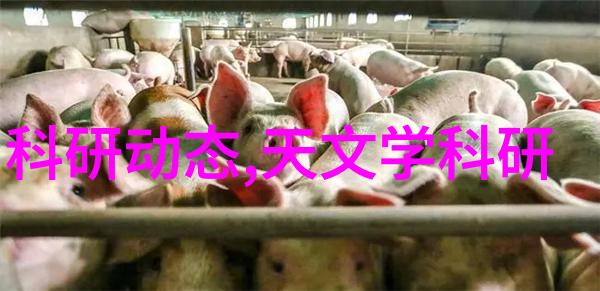 工业废水处理设备公司-创造绿色未来的环保科技
