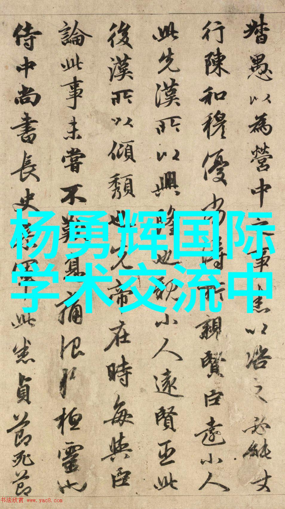 晴空之光太阳能热水器的绿色魅力与实用性探究
