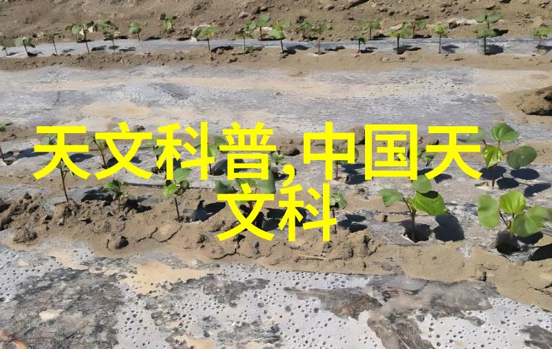 化工制冷设备-探索制冷技术的进步与化工制冷设备的发展
