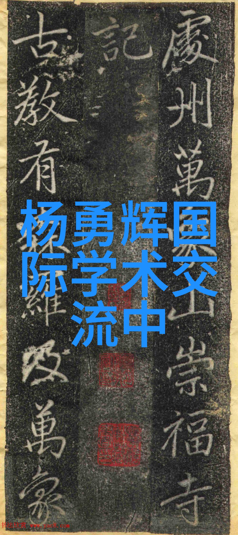 美丽女医生专属护理高端医疗服务