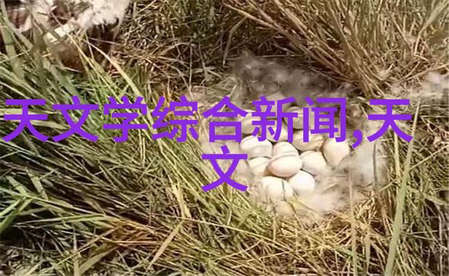 探索动物实验室设备的未来发展趋势与创新应用