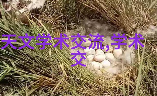 科技板块再现活力五大龙头公司成交量激增