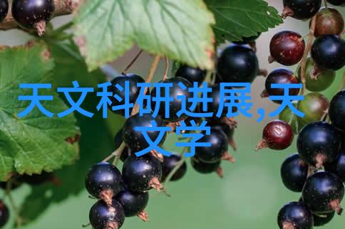 毛坯房装修图解指南