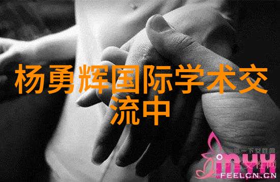 片剂机械的秘密探索现代制药工艺的奥秘