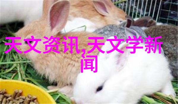 化学世界的常见面貌一般化学品种类解析