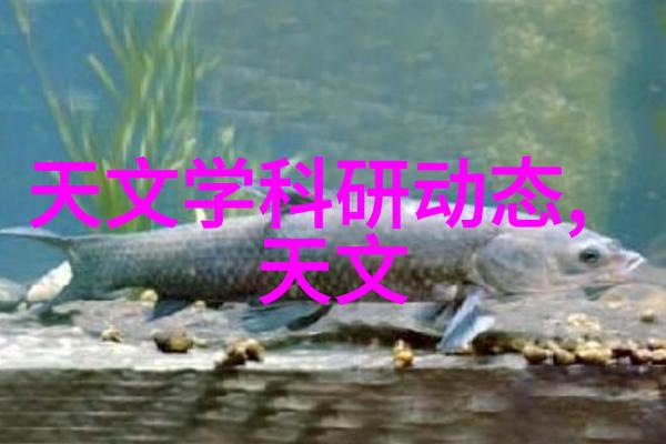 如何选择最合适的厨房装修效果图