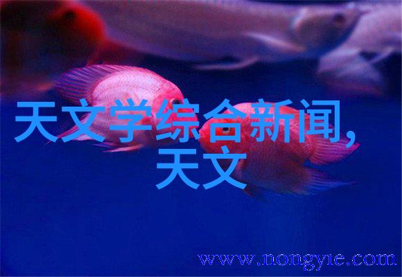 水管材种类详解选择合适的管材以确保家庭供水系统的安全与高效运行