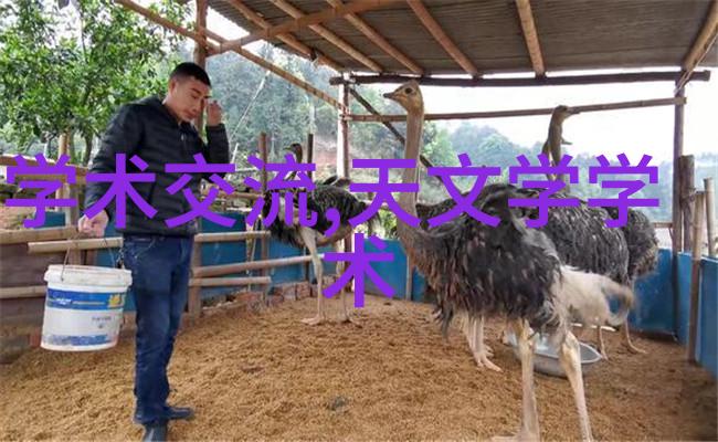 中华大地的水系工程奇迹十项杰作引领未来