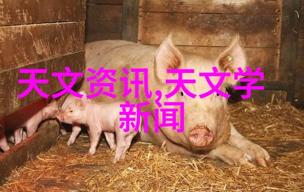 化工丸剂机械生产线高效自动化的丸剂制造系统