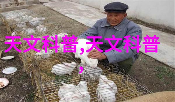 智能输送方案神秘黑科技颠覆未来物流