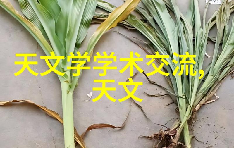 个人述职报告的格式模板我来告诉你怎么写一个好评分