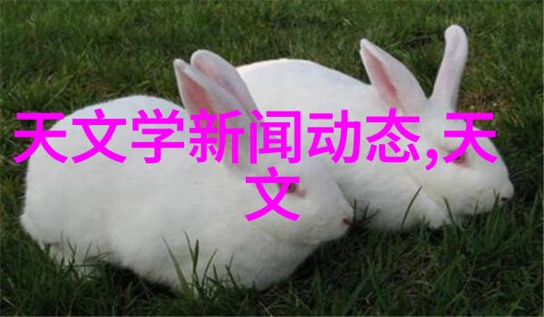 皮带输送机生产厂家-高效节能的工业物流解决方案深度探究皮带输送机的设计与应用