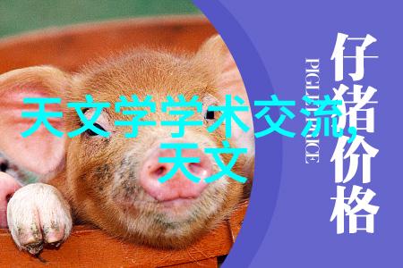 装饰大师如何用一张床单让你的客厅变成佳园