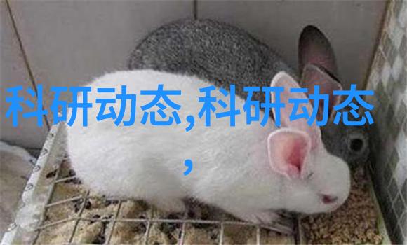 高效水分回收深入理解离心脱水机的运作原理与精妙设计