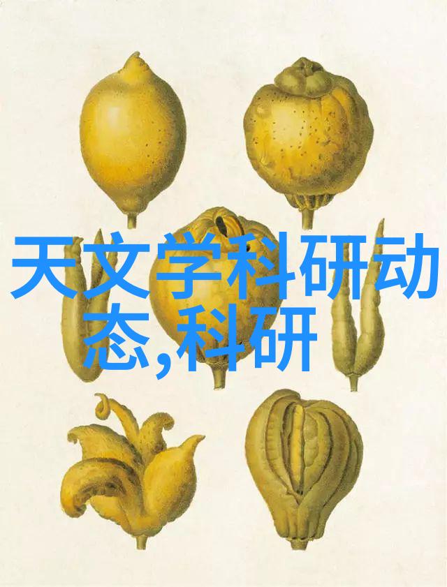 厨房装修风格大赏探索2013年最受欢迎的设计理念与创意灵感