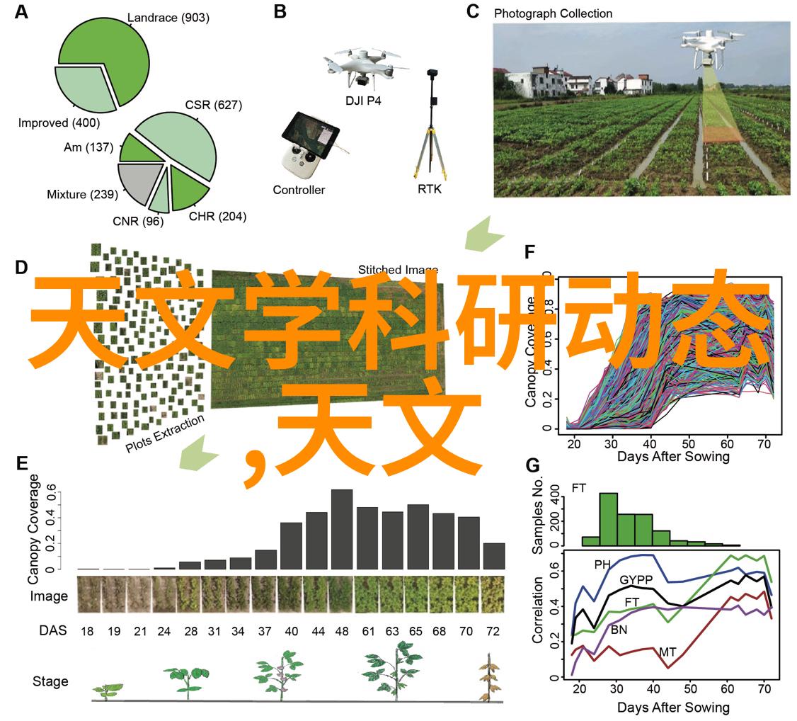 传统工艺与现代技术融合创新型主材的兴起