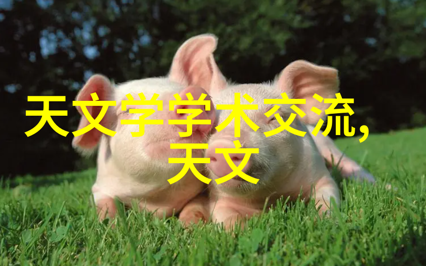 二手化工原料交易网我是怎么在网上找到了满意的旧化学品供应商