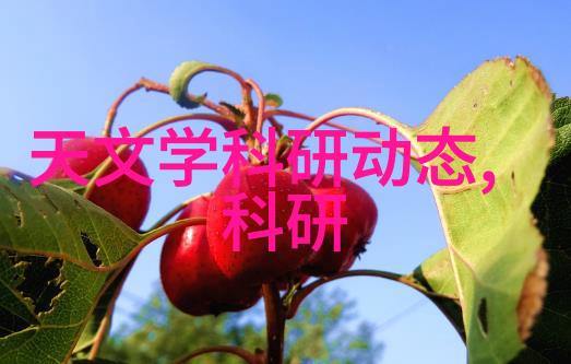 乌鲁木齐家居装修新趋势融合传统与现代的美学风尚