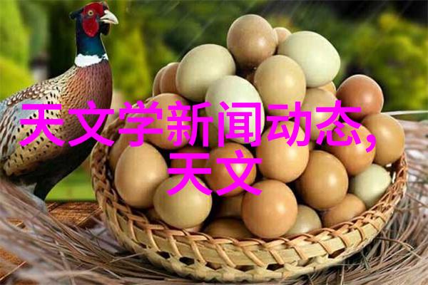 污水池组合填料清洁之心的秘诀