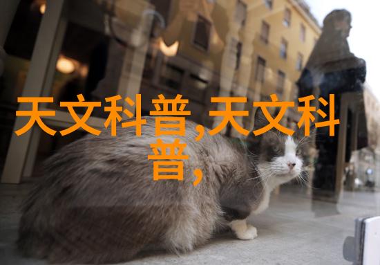 反应釜生产设备制造精细化工的关键技术与创新解决方案