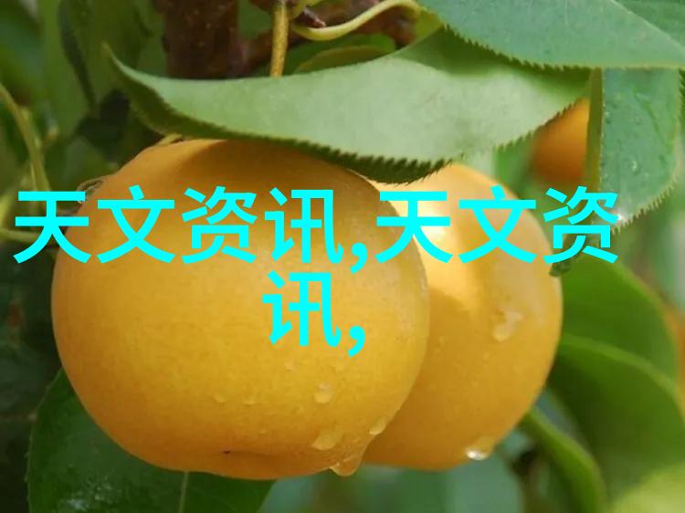 化工颗粒剂机械的创新与应用前景