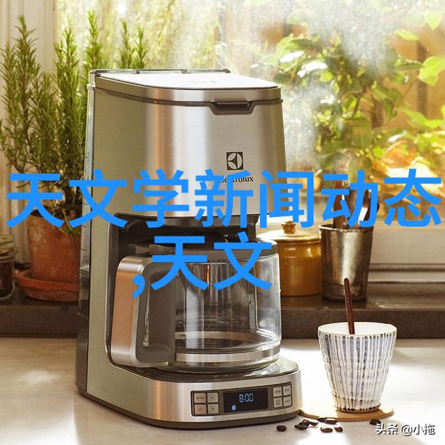 项目进展通报与工作动态分析