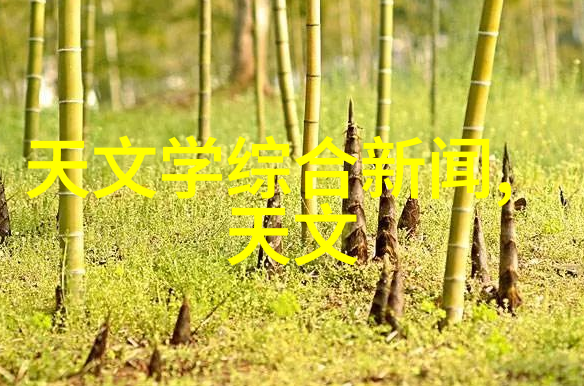 中财信通构建高效的资本市场监管体系