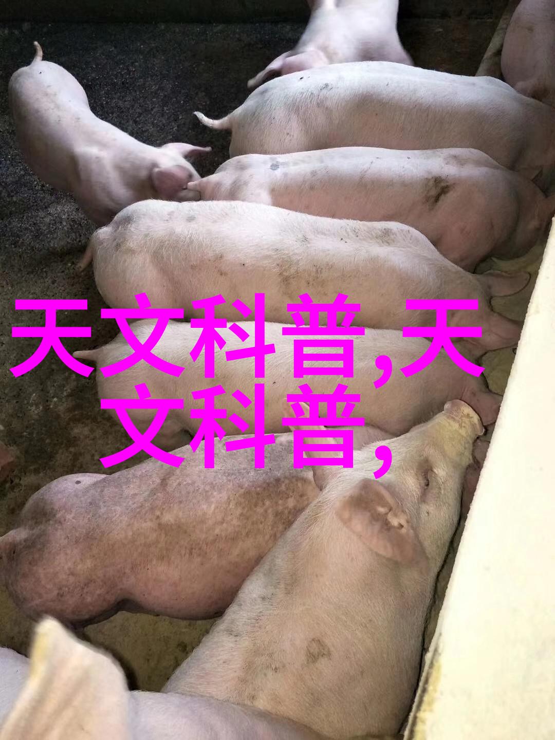 未来发展方向智能化如何影响不锈钢管材行业