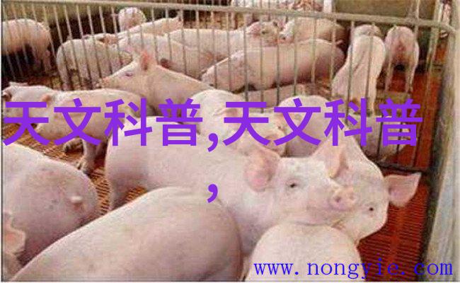 山东财经大学官网窗口看世界智库引领未来