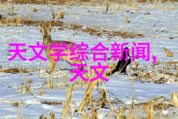 实验室仪器设备清单科学探索的织梦机