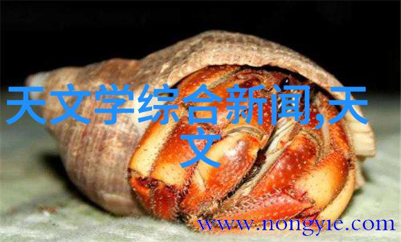 管式反应器-化学工艺中管式反应器的设计与应用概述
