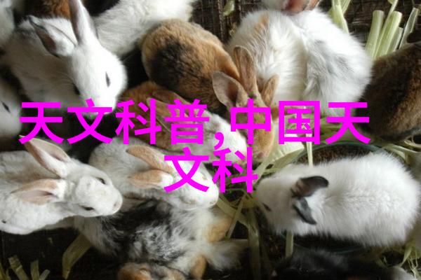 闪耀与朦胧不锈钢丝网填料参数之谜