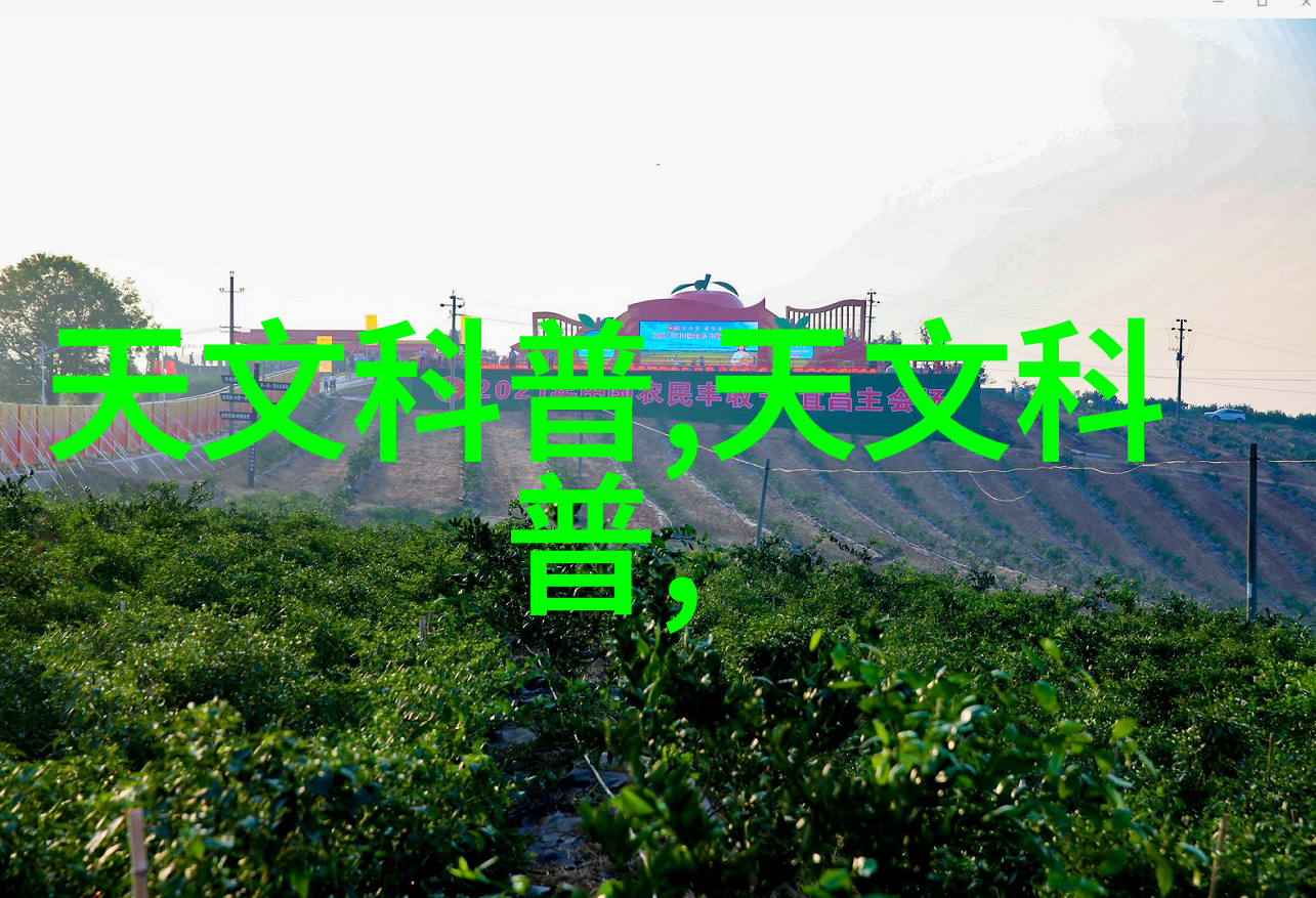 金融市场的晴雨表新浪财经如何引领投资者决策