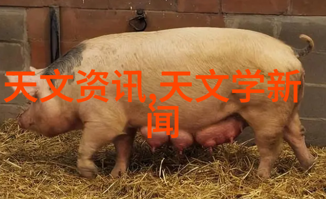 中国机械加工网我来帮你找到最棒的加工服务