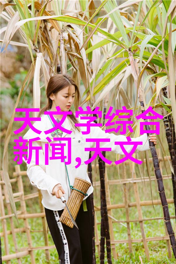 密室里的不锈钢守护者