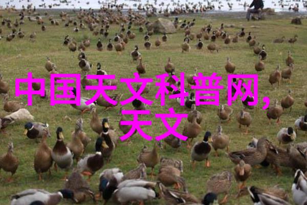 专利之旅从创意到实物的脚步