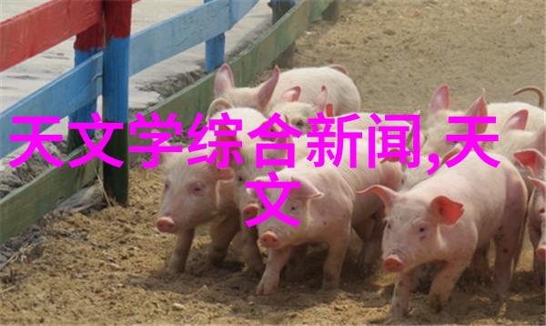 如何选择高质量的炮灸材料和避免不良成分
