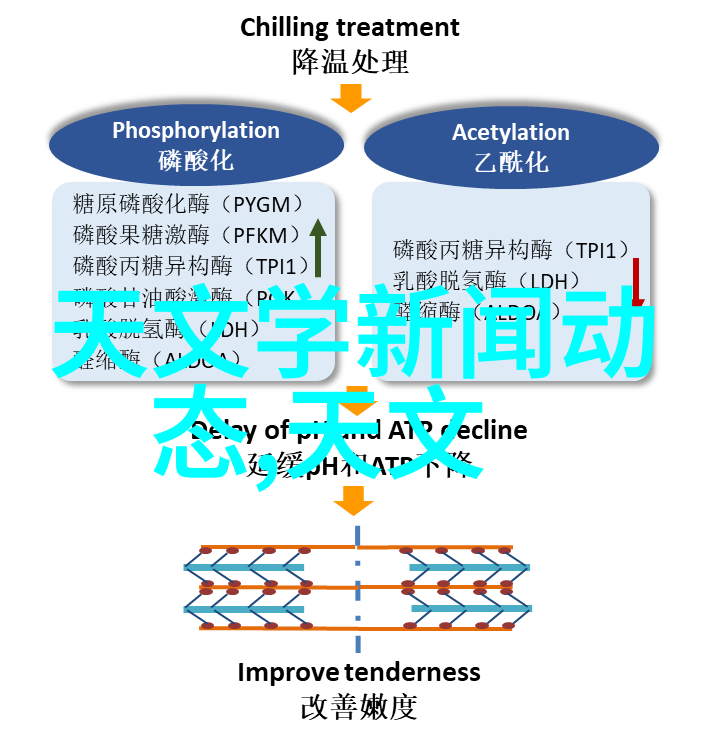 兴趣测评我是如何通过一场生活游戏发现自己的兴趣爱好