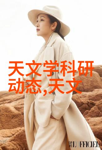 微观市场之浪花芯片价格表的隐喻