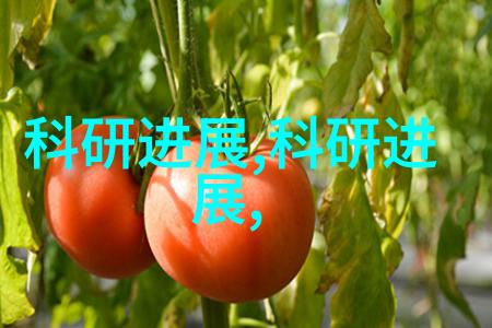 不锈钢剪板折弯加工精准制造的艺术