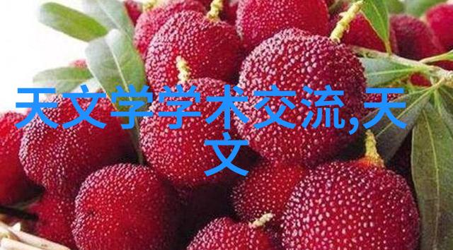 江苏巨能碟式离心机高效稳定的旋转力场主人