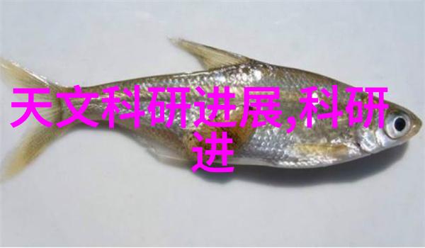 料型号大师揭秘材料世界的无尽魅力