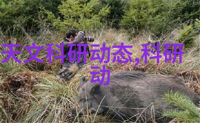 不锈钢化工反应罐高效耐腐蚀的化学物品储存设备