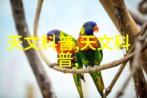 森林之约迈开腿让尝尝你的樱花