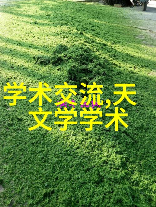 音乐-钢琴家之城探索乐豪斯的艺术与传奇