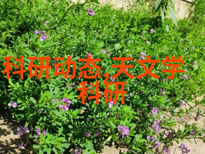 学会适应变化现代水电工程师的终身学习策略